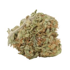 Alternative view of Afghani Kush