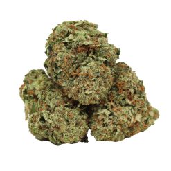 Alternative view of Afghani Death Bubba