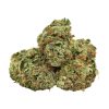 Afghani Pink Canada