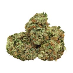Afghani Pink Canada
