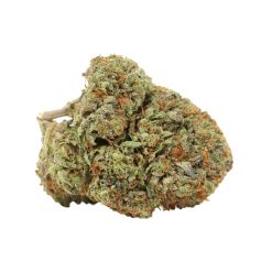 Alternative view of Afghani Pink