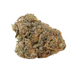 Alternative view of Ahi Tuna Kush