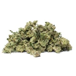 Alaskan Thunder Fuck (AA)