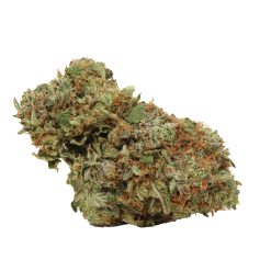 Astro Pink Kush Canada