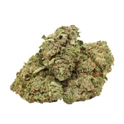 Alternative view of BC Pink Kush