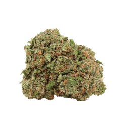 BC Pink Kush Canada