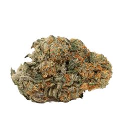 Alternative view of Black Mamba Strain