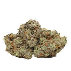Alternative view of Blue Cheese Strain
