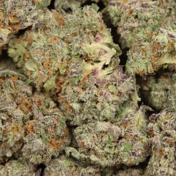 Blue Cheese Strain Canada