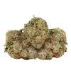 Blueberry AK Strain