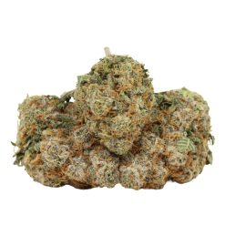 Blueberry AK Strain