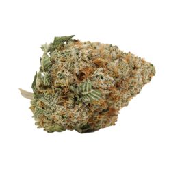 Alternative view of Blueberry AK Strain