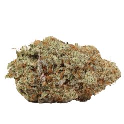 Alternative view of Bruce Banner Strain