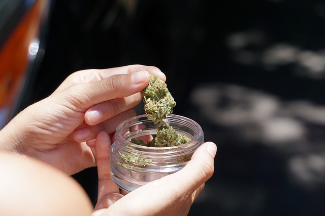 Buy AAAA Weed Online Canada