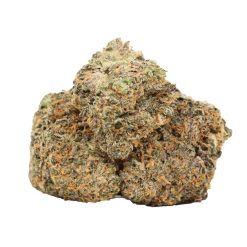 Alternative view of Critical Kush