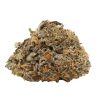 Critical Kush Canada