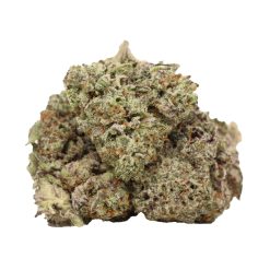 Alternative view of Dairy Queen Strain