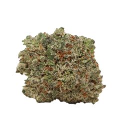Dairy Queen Strain