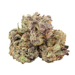 Alternative view of Death Tuna Strain