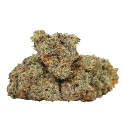 Alternative view of Dos Diablo Strain