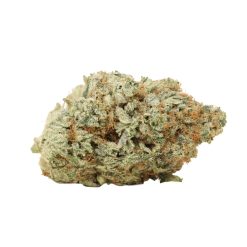 Alternative view of Dream Wedding Strain
