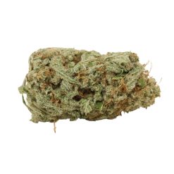 Alternative view of Girl Scout Cookies Strain