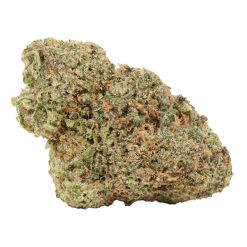 High Society Strain Canada
