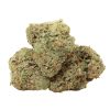 Jungle Mints Strain
