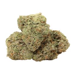 Jungle Mints Strain