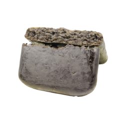 Kiwi Hash Canada