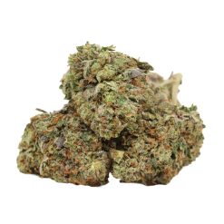 Alternative view of Larry Rockstar Strain