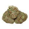 MAC 1 Strain