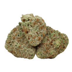 MAC 1 Strain