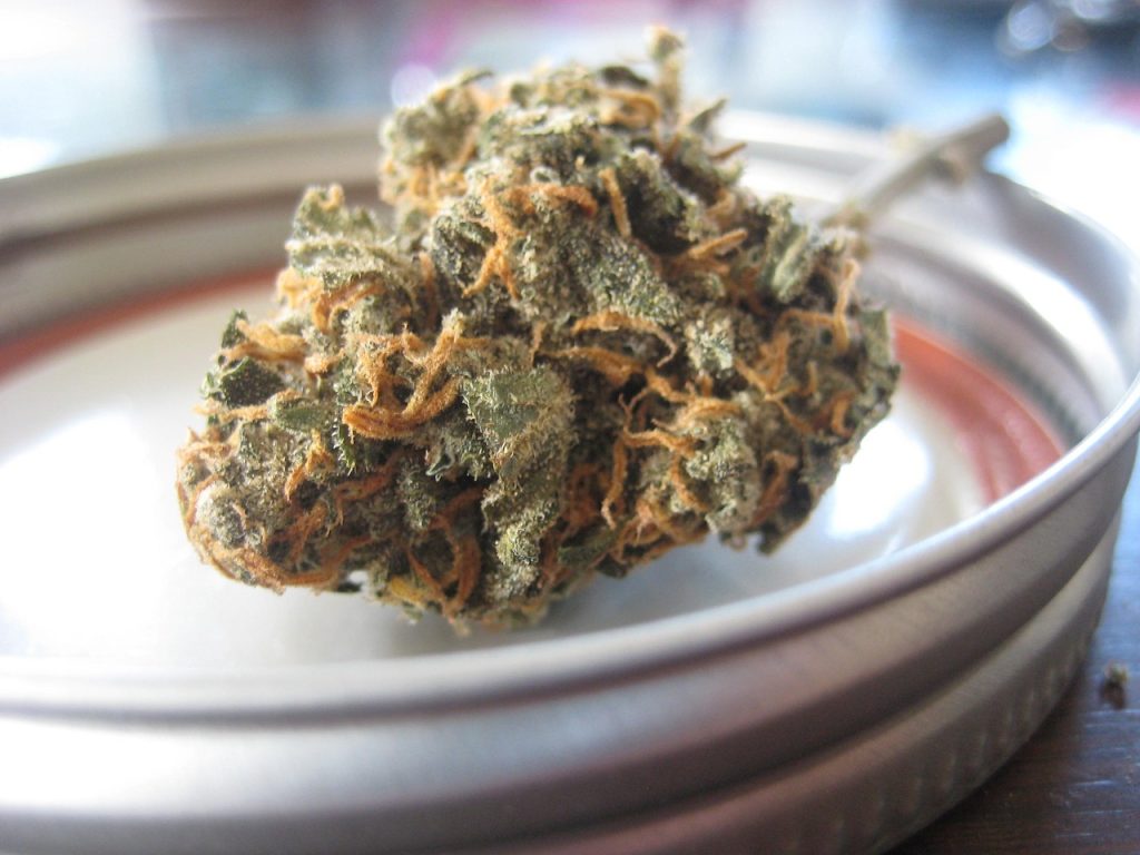 Mail Order Marijuana Alberta