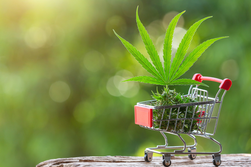 Mail Order Marijuana British Columbia