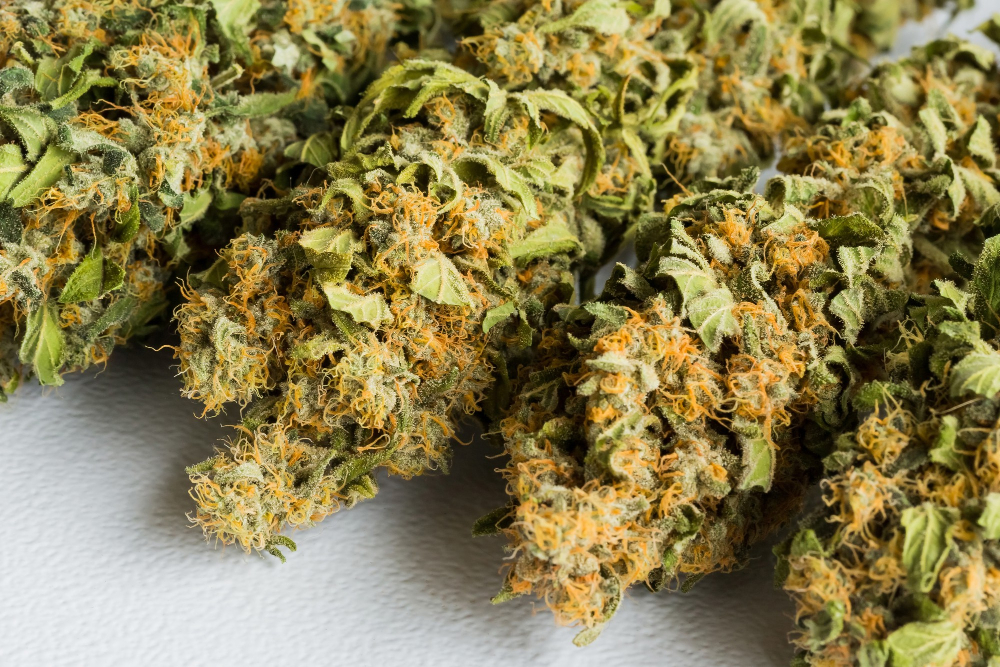 Mail Order Marijuana Edmonton
