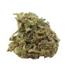 Money Maker Strain Canada
