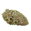 Nuken Strain Canada
