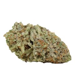Nuken Strain Canada
