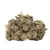 Pink Banner Strain Craft Canada