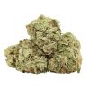 Pink Death Strain Canada