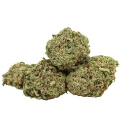 Alternative view of Pink Muerte Strain