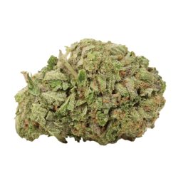 Pink Muerte Strain Canada