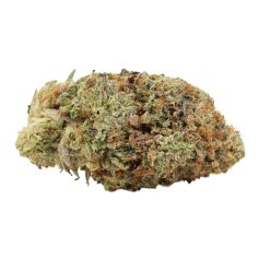 Pink Wagyu Strain Craft Canada