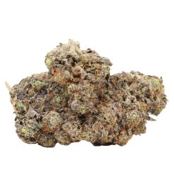 Pink Wagyu Strain Craft Canada