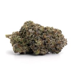 Platinum Rockstar (AAA)