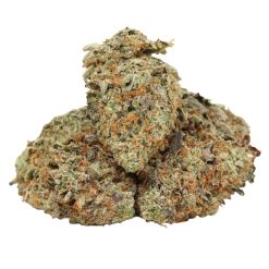 Presidential Pink Kush Strain