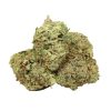 Red Congolese Strain