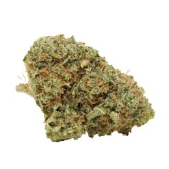 Alternative view of Red Congolese Strain