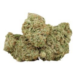 Silver Haze Strain